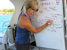 Cayman Islands Scuba Diving Holiday. Grand Cayman Dive Centre. Dive Briefing.